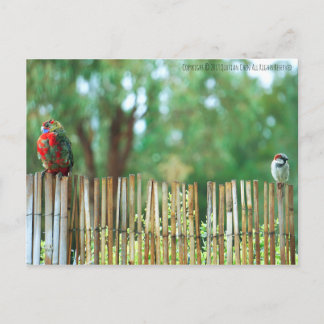 Cartão Postal Mentes Diferentes