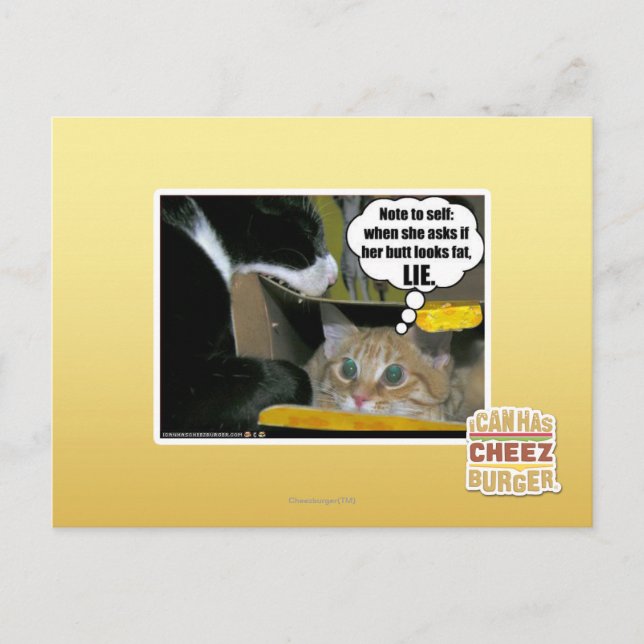 CARTÃO POSTAL MENTIRA (Frente)