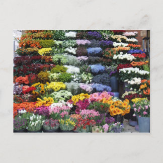 Cartão Postal Mercado das flores