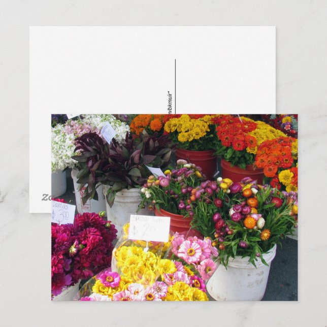 Cartão postal – Mercado de Flores (Frente/Verso)