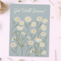 Mercado de Flores de Margarida Branca Floral em Aq