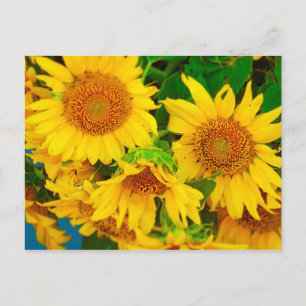 Cartão Postal Mercado de flores suntuárias KC Mercado de agricul