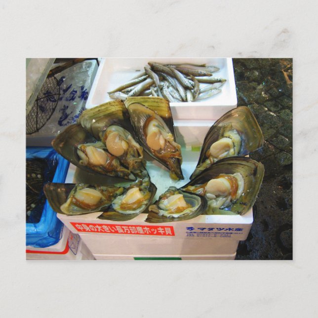 Cartão Postal Mercado de Peixes de Tsukiji, Giant Muselles, Tóqu (Frente)