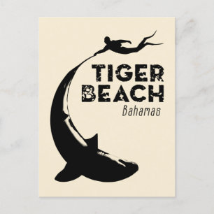 Cartão Postal Mergulho de tubarão na praia de Tiger