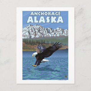 Cartão Postal Mergulho na Águia Balda - Anchorage, Alasca