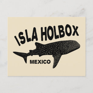 Cartão Postal Mergulho Scuba Com Tubarões De Baleia Isla Holbox 