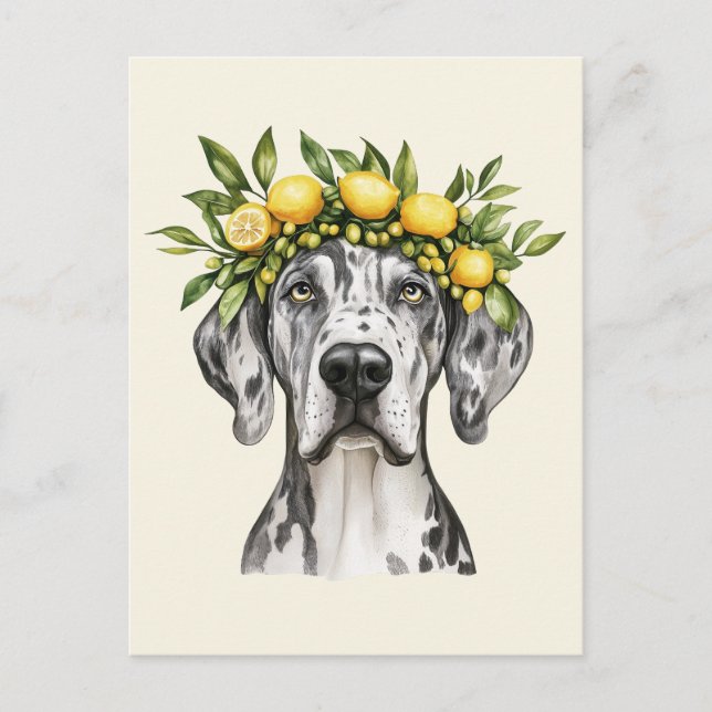 Cartão Postal Merle Great Dane Dog Lemon Crown (Frente)