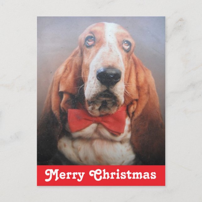 Cartão postal Merry Christmas Basset Hound (Frente)
