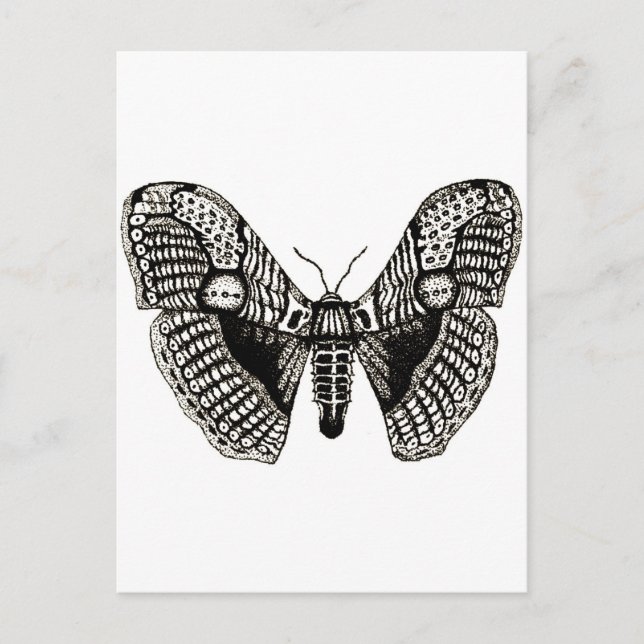 Cartão Postal mês (Frente)