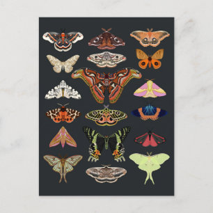 Cartão Postal Meses de Cottagecore Escuro