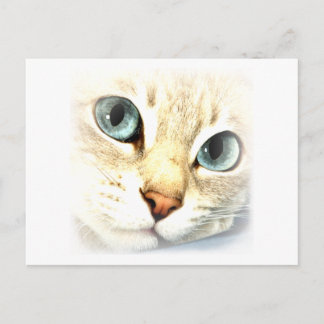 Cartão Postal MesmerEYES de Cat