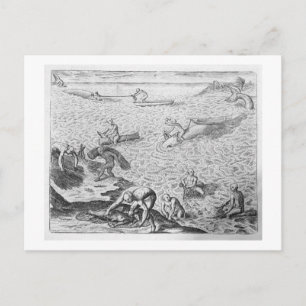Cartão Postal Método indiano americano de caça à baleia, de uma