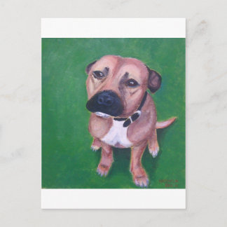 Cartão Postal Meu 2012 staffy
