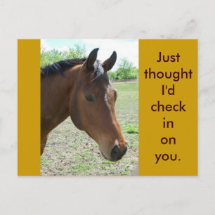 Cartão Postal Meu Amigo, O Cavalo