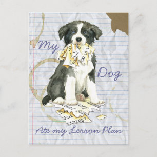 Cartão Postal Meu Bordo Collie Comeu meu Plano de Lição
