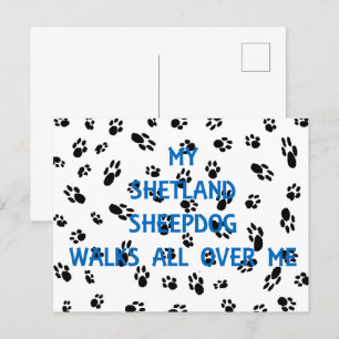 Cartão Postal Meu Cão-de-Obra Shetland anda por todo o meu lado