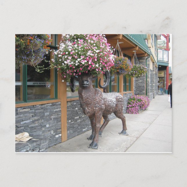 Cartão Postal Meu Chapéu Flor (Frente)