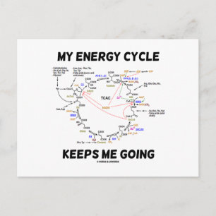 Cartão Postal Meu Ciclo de Energia Me Mantém Indo (Ciclo De Kreb