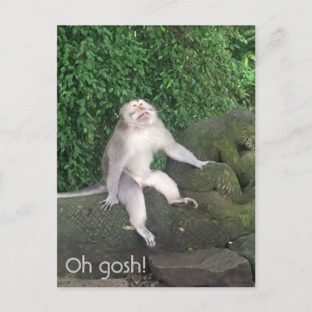 Cartão Postal Meu Deus, macaco (Frente)