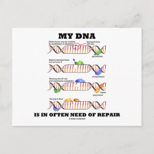 Cartão Postal Meu DNA Frequentemente Precisa De Reparo (Humor De