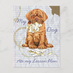 Cartão Postal Meu Dogue de Bordeaux Comeu meu Plano de Lição