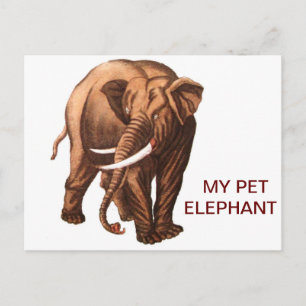 CARTÃO POSTAL MEU ELEFANTE DE PET