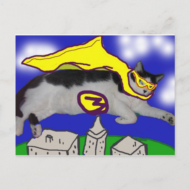 Cartão Postal Meu Hero Cat (Frente)