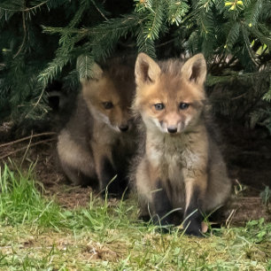 Cartão Postal Meu Irmão