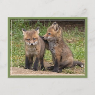 Cartão Postal Meu Irmão/Minha Irmã Meu Amigo