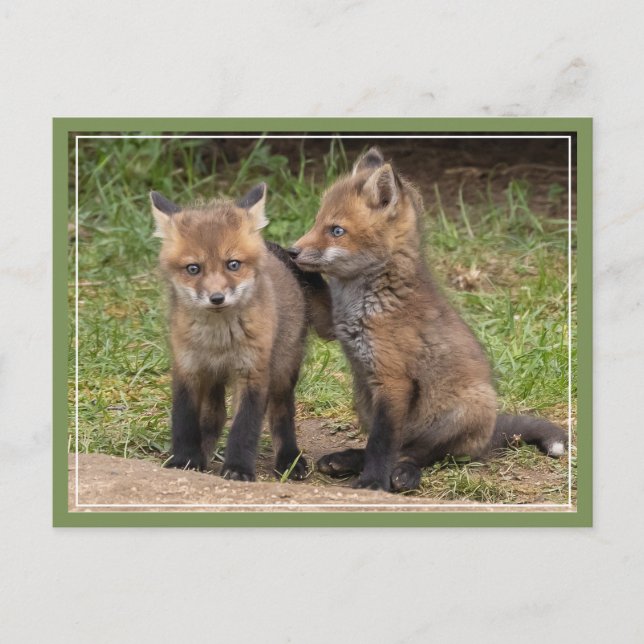 Cartão Postal Meu Irmão/Minha Irmã Meu Amigo (Frente)