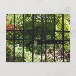 Cartão Postal Meu Jardim Secreto