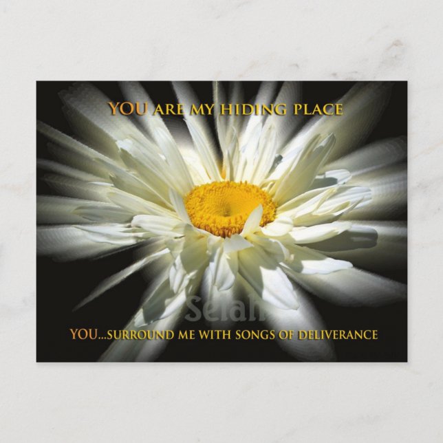 Cartão Postal Meu Lugar Escondido (Frente)