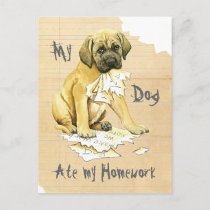 Cartão Postal Meu Mastiff Comeu Meu Trabalho De Casa