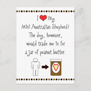 Cartão Postal Meu Mini Pastor Australiano Adora Manteiga De Amen