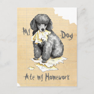 Cartão Postal Meu Poodle Miniatura Comeu Meu Trabalho De Casa