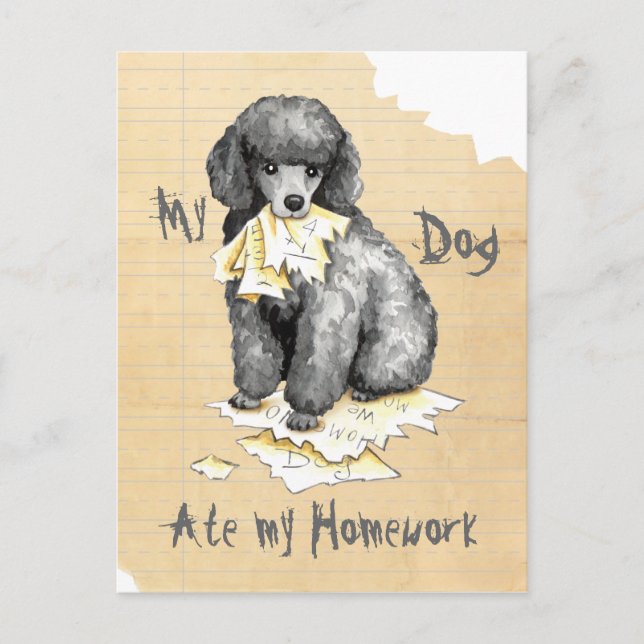Cartão Postal Meu Poodle Miniatura Comeu Meu Trabalho De Casa (Frente)