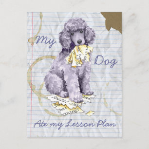 Cartão Postal Meu Poodle Padrão Comeu meu Plano de Lição
