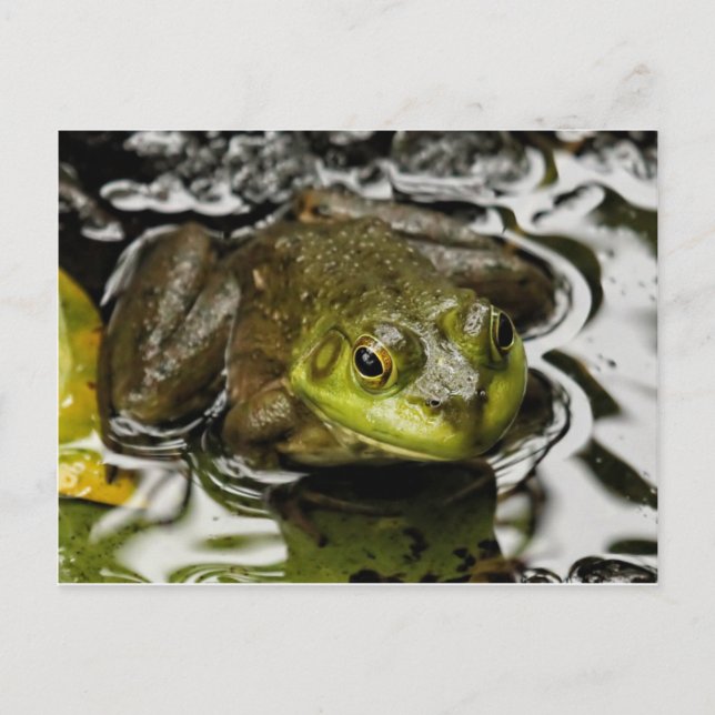 Cartão Postal Meu Príncipe (Frente)