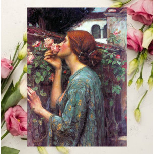 Cartão Postal Meu Rosa doce