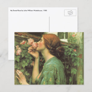 Cartão Postal Meu Rosa doce, ou Alma do Rosa por Waterhouse