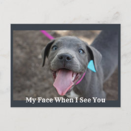 Cartão Postal Meu Rosto Quando Vejo Você Um Cartão-Postal Bonito