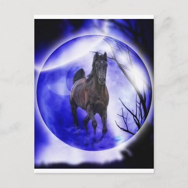 Cartão Postal Meu sonho (Frente)