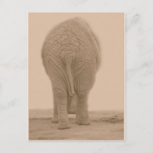 Cartão Postal meu vagabundo parece uma grande sepia