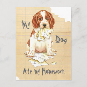 Cartão Postal Meu Welsh Springer Comeu Minha Casa