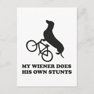 Cartão Postal Meu Wiener Faz Seus Próprios Estunts