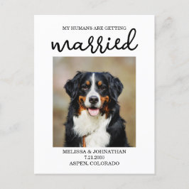 Cartão Postal Meus Humanos Estão Se Casando | Cachorro Salvar a