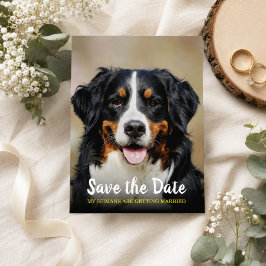 Cartão Postal Meus Humanos Estão Se Casando | Cachorro Save the 