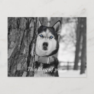 Cartão Postal Meus Olhos Azuis