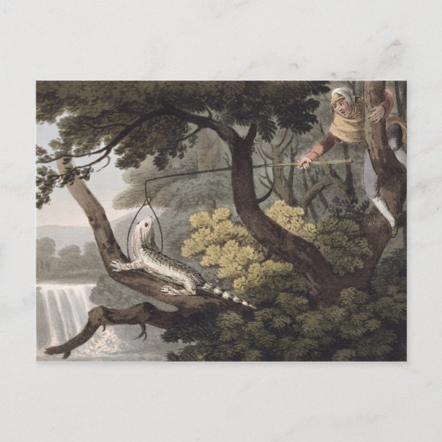 Cartão Postal Mexicano Lizard Catcher, gravado por Matthew Dubou (Frente)