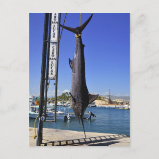 Cartão Postal México Marlin